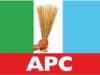APC Unity Shines in Jigawa as Namadi Celebrates Peaceful Reps Primaries