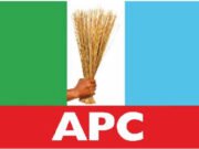 APC Unity Shines in Jigawa as Namadi Celebrates Peaceful Reps Primaries