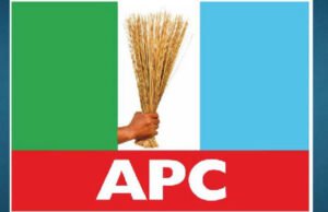 APC Unity Shines in Jigawa as Namadi Celebrates Peaceful Reps Primaries